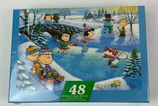 Snoopy Skating Party 48 Piece Puzzle