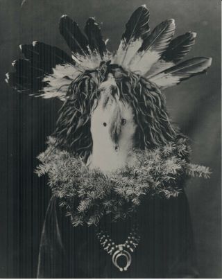 Navajo Spirit Figure Haschogan,  Edward Curtis 8 X 10 Photograph Circa 1905