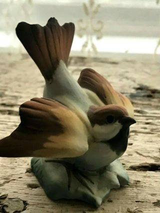 Tay Giuseppe Tagliariol Italian Porcelain Sparrow On Leaf Bird Signed Italy Vtg