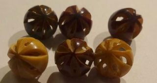 Group Of 6 Small Vintage Carved Vegetable Ivory Buttons