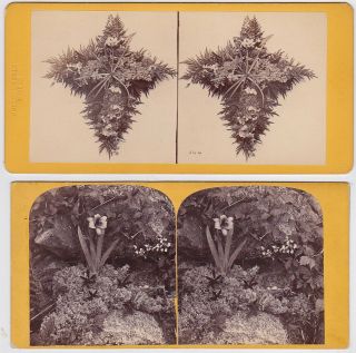 2x Jos L Bates Et Al: Floral Still - Life Rare Stereoviews Svs Boston Ma 1860s