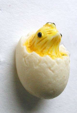 Bb Vintage Polymer Button Realistic Chick Emerging From Shell 11/16 " Hand Painte