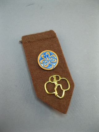 Brownie Girl Scout Tab W/membership & Wagggs Pin Official