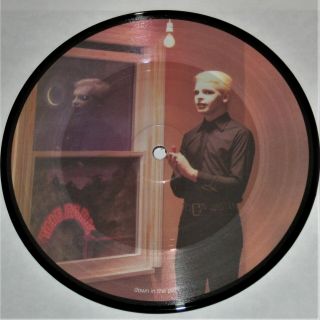 Gary Numan Tubeway Army Are Friends Electric/down In The Park 7 " Picture Disc 45