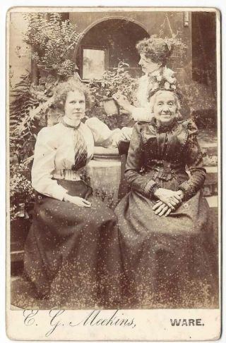 Cabinet Card Photograph Victorian Ladies In The Garden By Meekins Of Ware