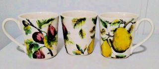 Pier 1 Imports Verona Coffee Mugs Ironstone Large Cups Set Of 3 Fruit Apples Fig