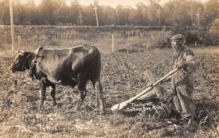 Rppc Photo Postcard The Hermit Suttons Bay Michigan Recluse Farmer Cow Plow Farm