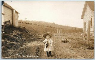1911 Rppc Real Photo Postcard " 14 Faithful Collie " Hal Reid? Girl Teddy Bear Dog