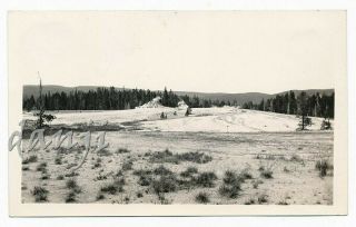 People Across Field At Geyser In Yellowstone National Park 1930 