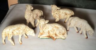 5 Large Vintage 12 " Fontanini Paper Mache Sheep Nativity Figure Italy