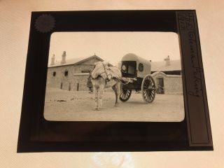1913 Glass Magic Lantern Slide - China - Horse And Wooden Carriage