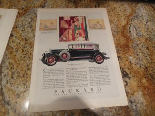 Antique 1928 Packard Dietrich Convertible Sedan Art Car Auto Print Ad Borzoi Dog