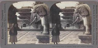 Stereoview Chinese Man In Period Attire Manchu Kings Tomb Mukden Manchuria China