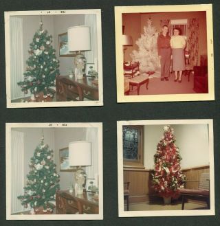 Vintage Photos Christmas Trees W/ Lamps Mother Home Interior 991059