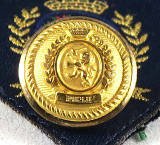 Tommy Hilfiger Gold Metal Dome Lion Crest Replacement Blazer Button 5/8 " Sleeve