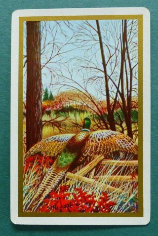 Vintage Swap Card.  Pheasant In Woods.  C1940s Gilt Edge Arrco.  Game Bird.