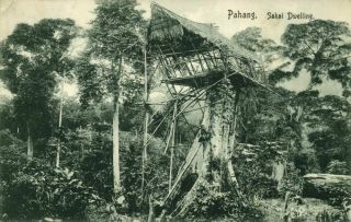 Straits Settlements,  Malay Malaysia,  Pahang,  Sakai Dwelling (1910s) Postcard