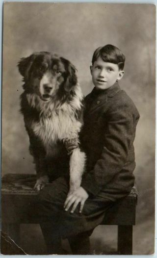 1910s Rppc Real Photo Postcard Young Boy & Furry Dog - Studio Portrait