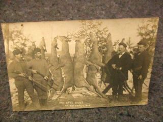 Vintage Post Card/real Photo Hunting Scene/guns,  Hunters,  Hanging Deer/birchwood,  W