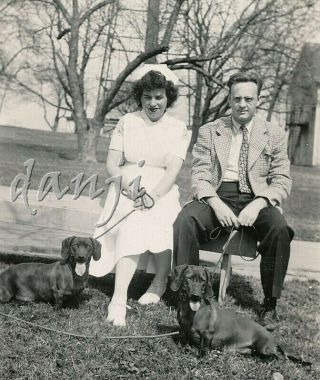 Nurse,  Man Sitting On A Bench Holding Leashes Of Dachshund Dogs Cute Old Photo