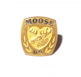 Old Vintage Moose Tack Pin Hat Collar Past Governor 1969 Gold Tone Morgans