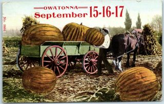 Owatonna,  Minnesota Postcard Steele County Fair Exaggeration W/ 1910 Cancel