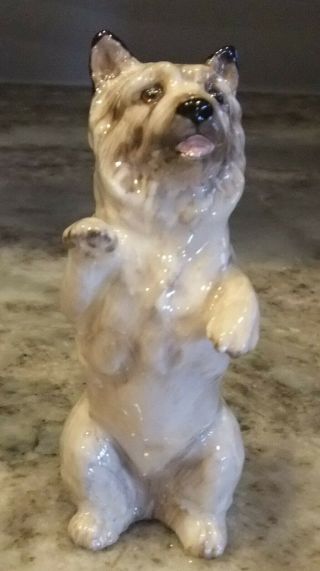 Royal Doulton Hn2589 Cairn Terrier Porcelain Dog Figurine