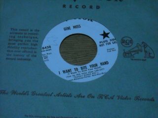 Halloween 45.  Gene Moss.  I Want To Bite Your Hand / Ghoul Days.  Vg, .