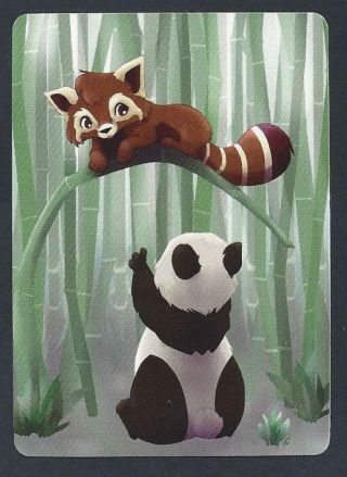 850.  030 Modern Wide Swap Card - - Giant Panda & Red Panda