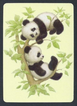 850.  029 Modern Wide Swap Card - - Pandas Playing In A Tree