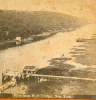 Ca.  1880 View From High Bridge Ny W Vail Bros Ideal Tooth Powder Ad Philadelphia