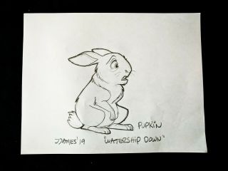 Watership Down Pupkin Signed James Artist Hand Drawn Cartoon Art 8 " X11 "