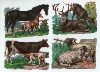 Set Of 4 Victorian Die Cut Chromo Scraps Of Horses,  Sheep,  Cows & Deer