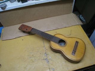 Vintage 1922 Tranquillo Giannini Alameda Olga 414 Ukulele / Small Parlor Guitar