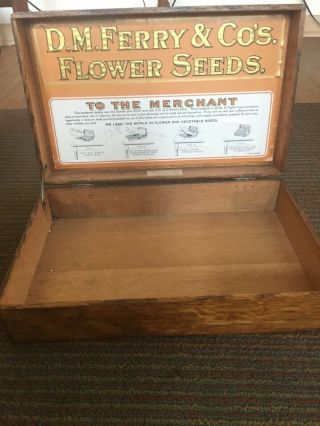 Oak Wood Flower Seed Merchant 