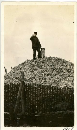 1919 Photo Ia Iowa Sac City Hawks Farm Man Standing On Mountain Of Feed Corn