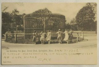 Watching The Bear At Forest Park Springfield,  Ma Massachusetts 1906