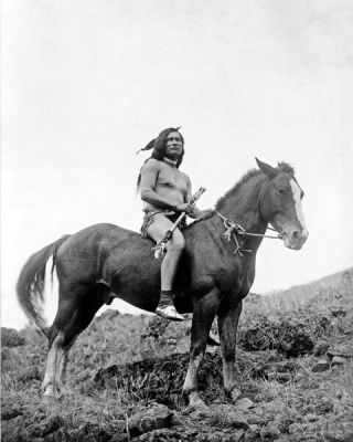 Nez Perce Warrior On Horse 8x10 Photo Edward S.  Curtis