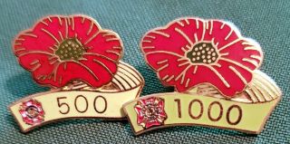 Vfw Buddy Poppy 500 And 1000 Hat Lapel Pins
