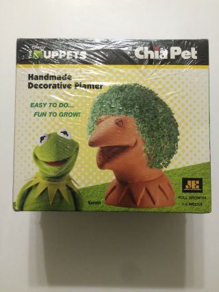 Disney Kermit The Frog The Muppets Chia Pet Handmade Decorative Planter