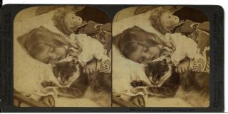 1905 Stereoview Girl Napping With Cat And Porcelain Doll / Underswood