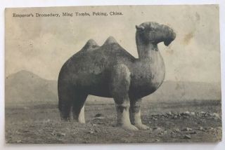Peking China,  Emperor’s Camel,  Ming Tombs,  1920 Postcard Shanghai Overprint