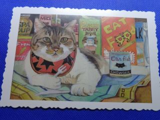 Postcard,  Cute Cat,  Pattern Edging,