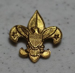 Boy Scout Tenderfoot Award Pin 