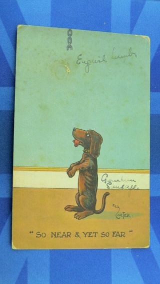 Vintage Reg Carter Comic Postcard 1910s Dachshund Wiener Sausage Dog Theme