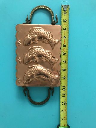 Vintage Copper Fish Mold Wall Wrought Iron Farmhouse French Provence 2