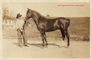 2 Vintage Old 1930 Photos Cowboy Trainer With Harris Arabians Horses Chino Hills