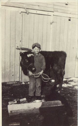 Vintage Old 1920 Photo Of Cute Little Farm Boy Holding His Cow Next To The Barn