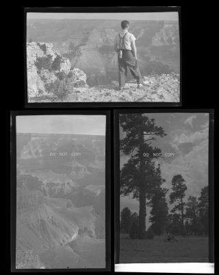 N629 Three C.  1940 Negatives.  Early Views Of Grant Canyon In Arizona