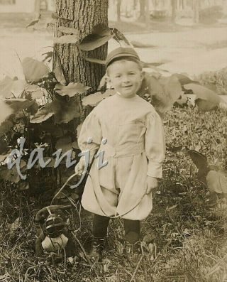 Young Boy Outside Holding Leash Of Toy Steiff ? Dog In A Muzzle Rppc Toy Photo